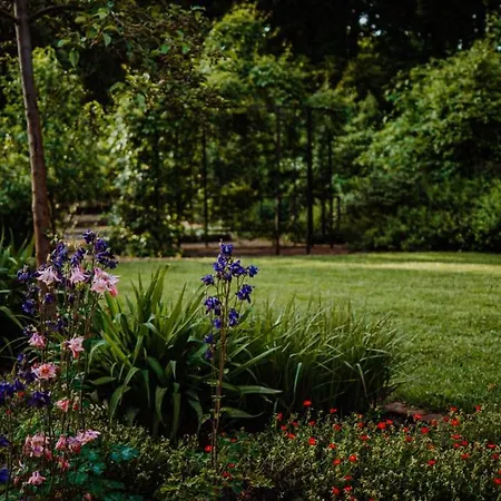 Kastanienhof Apartament