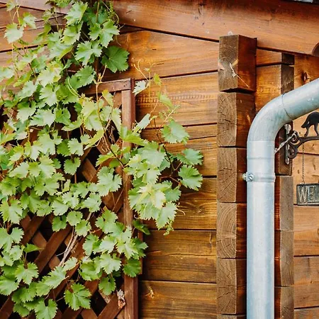 Kastanienhof Apartamento Burg (Spreewald)