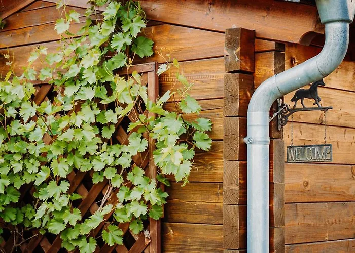 Kastanienhof Apartment Burg (Spreewald)